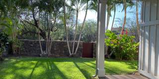 Tropical oasis Gallery 10