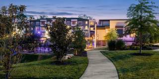 The Anson Gallery 31