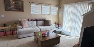 Fantastic!  Light and Bright!  1 bed + loft - 1 bath Gallery 11