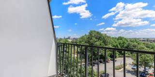 Whitestone at Landmark Gallery 55