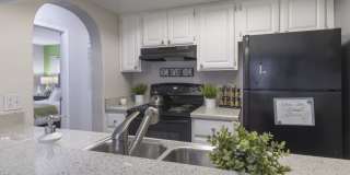 Enclave at Lake Ellenor Gallery 6