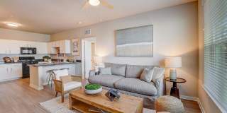 Authentix Spring Hill Gallery 2