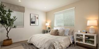 Vello Crossings Gallery 4