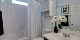 3305 Umbria Gardens Avenue Gallery 17