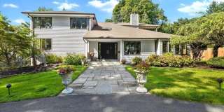 3 Forest Road Gallery 1