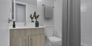 Liv on Steele Gallery 9