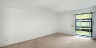 7742 Redlands St Gallery 11