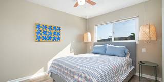 Beautiful 2 beds 1 bath apartment in Point Loma Gallery 19