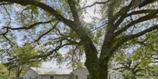 114 Lsu Avenue 114 Lsu Avenue Gallery 8