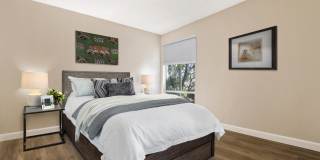 720 Louise Apartments Gallery 9