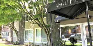 Angeline Gallery 55