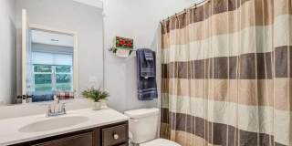 12258 SESSILE CMNS Gallery 10