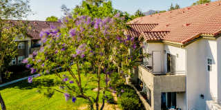 Legends of Rancho Belago Gallery 23