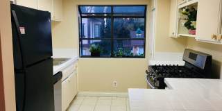 9014 Stacie Lane Gallery 2