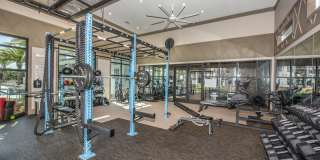 Olympus Emerald Coast Gallery 36