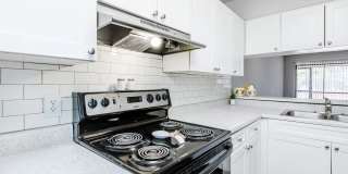 Solana Vista Gallery 58