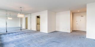 3709 S GEORGE MASON Drive Gallery 13