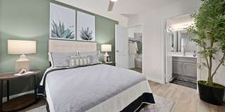 Solas Glendale Gallery 7