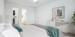 Satyr Hill Gallery 7
