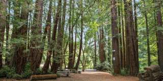 162 Throckmorton Avenue Gallery 49