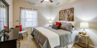 Abelia Flats Gallery 7