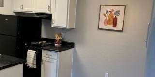 Ashford Apartments Gallery 15