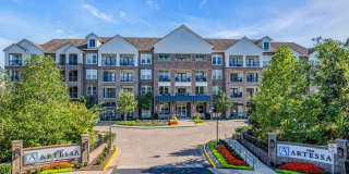 The Artessa Gallery 30