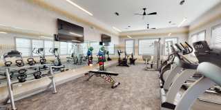 Insignia Apartments Gallery 26