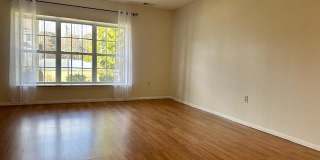 87 Sassafras Court Gallery 2