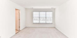 21759 LADYSLIPPER Square Gallery 24