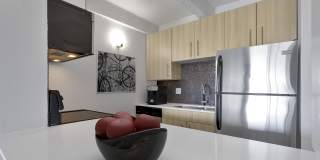 Liv on Steele Gallery 8