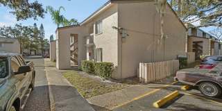 Cozy 2 Bed 1.5 Bathroom in Temple Terrace Gallery 21