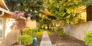 Huntington Gallery 5