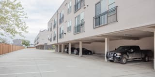 Magnolia at West Lemmon Gallery 24