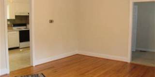 Salua Dr 2419 Gallery 3