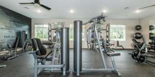 West Shire Village Gallery 31