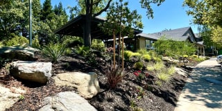 The Preserve at Creekside Gallery 33