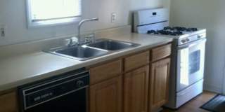 ***South Side Duplex Apartment For Rent * Pet Friendly * Walk to E. Carson St. * Available Now * Renovated *** Gallery 2