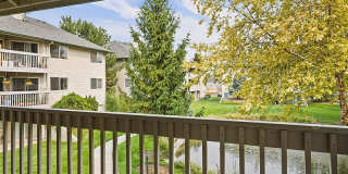 Orchard Place Gallery 20