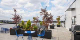 Chronicle Gallery 30