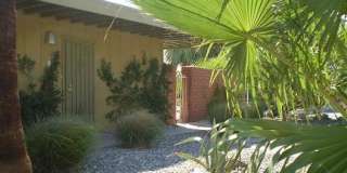 Junipero RUBS Junipero RUBS Gallery 1