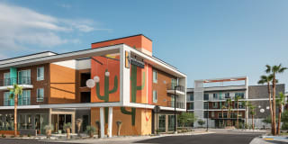 Roadrunner on McDowell Gallery 28