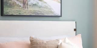 Novel Cary Gallery 5