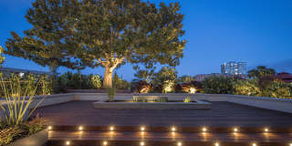 1200 Lakeshore Gallery 20