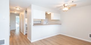 Mountain Meadows Gallery 11