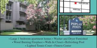 Poplar Pines Gallery 10