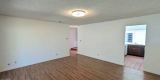 Lemon Grove 4 Bed with garage Gallery 6