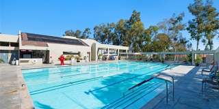 3256 San Amadeo Gallery 23