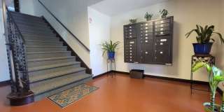 The Patricia Apartments  - the most elegant apartments in Richmond Gallery 9