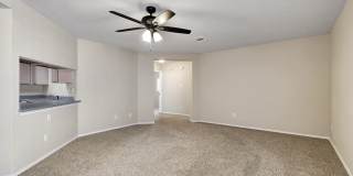 10331 MANOR CRK Gallery 14